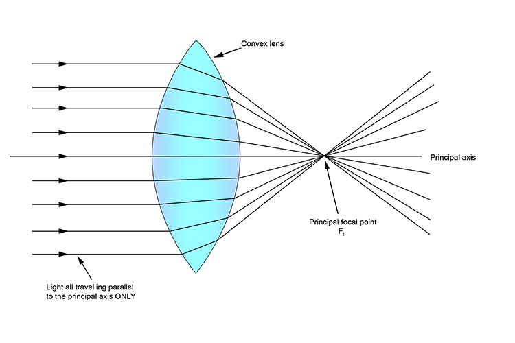 Parallel light rays focused at the principal focal point by a convex lens